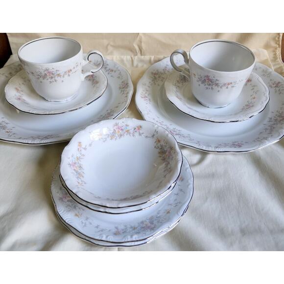 Floral Splendor Dinnerware Set For 2 Johann Haviland Bavaria Germany 10 Piece - Picture 1 of 11